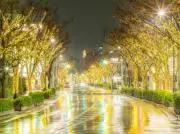 ぜっと  【プロフ必読】の画像