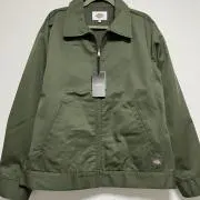 りゅうりゅうの画像