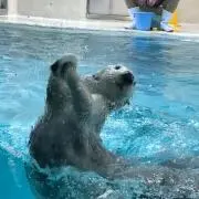 kumako1290の画像