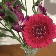 ひかりの画像