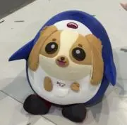 あきぱいの画像