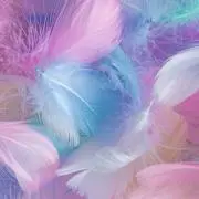 ヒカルの画像