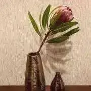 greenの画像