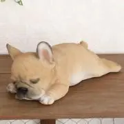 ブルの画像