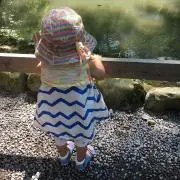 ぷりんの画像