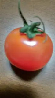 トマトの画像