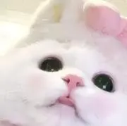 ‪‪❤︎‬の画像