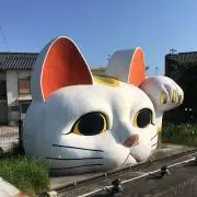 美々ちゃんの画像