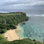M.Sの画像