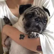 ひび