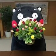 クロちゃんの画像