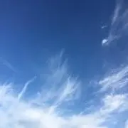 fy