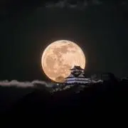なるみの画像