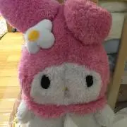 ぴーたん
