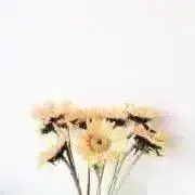 sak