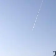 トムの画像