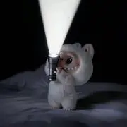 ୨୧の画像
