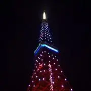 オカメの画像