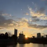バブル（次回発送は月曜日になります）の画像
