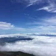 ノリノリのりPAY