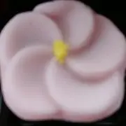 momoの画像