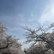 ddwwの画像