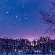 donguriの画像