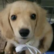 KAIくんママ