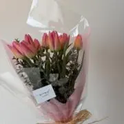 tulip..♡の画像