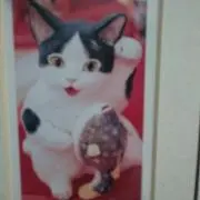 ゆきの画像