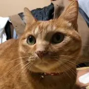 ☆じゃすてぃす☆