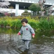 かじゅママの画像