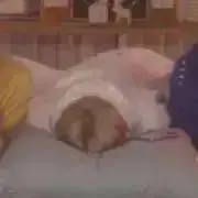 あおの画像