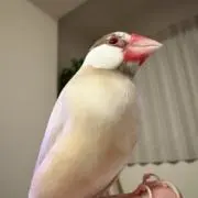 hidekiの画像