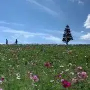 mitu☆プロフ必読の画像
