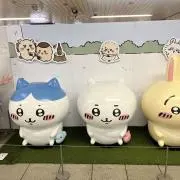 しゃの画像
