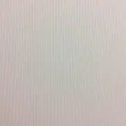 イブイブの画像