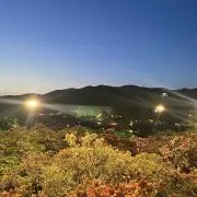 ゆららの画像