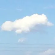 ひよたん