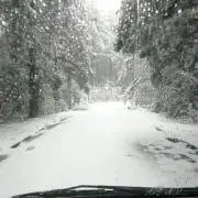 G´s-r0の画像
