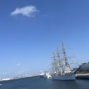 ぴよんの画像
