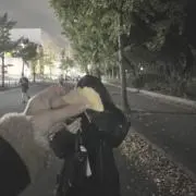 zuuの画像