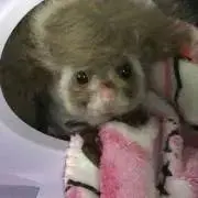 ムー☆*:.。の画像