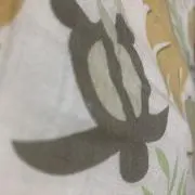 きむちゃの画像