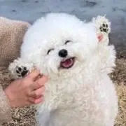 わしおの画像