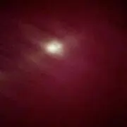 PPP