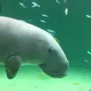 なぁ㌧の画像