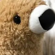 黄色い玉子の画像