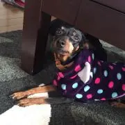 みーみ