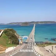 Tommyの画像